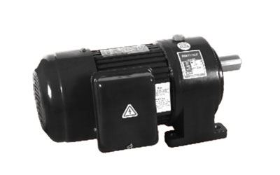 100W/750W AC Getriebemotor (klein)