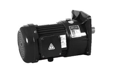 200W-1500W AC Dreiphasen Getriebemotor (klein)